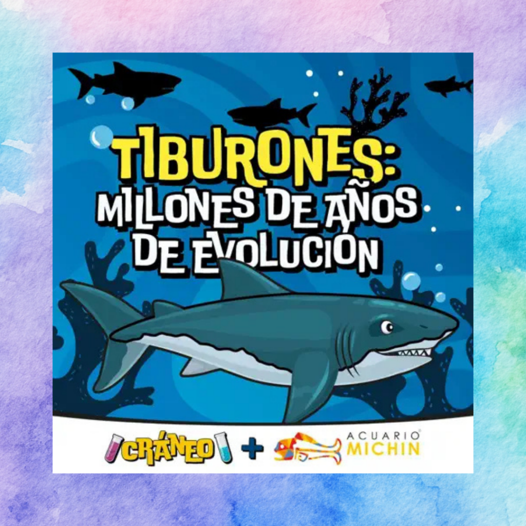 Tiburones Millones De Años De Evolución